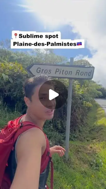 Aperçu du spot 4 à La Plaine-des-Palmistes